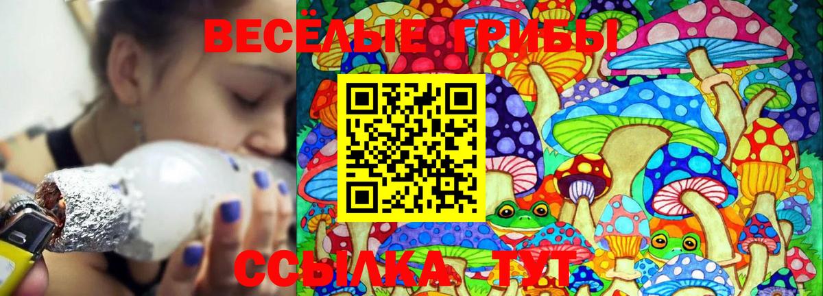Псилоцибиновые грибы Psilocybine cubensis Ейск