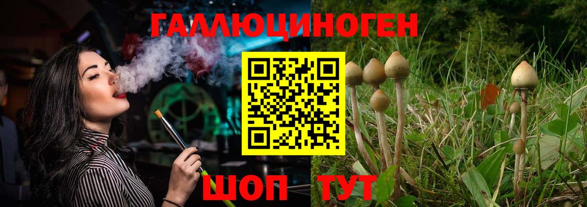 Галлюциногенные грибы GOLDEN TEACHER  купить  сайты  Вход с VPN  Ейск  Галлюциногенные грибы MAGIC MUSHROOMS 